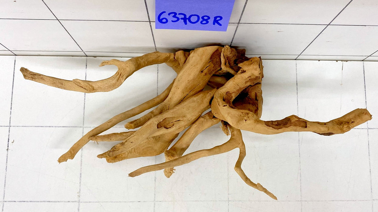 63708R Fingerwood / Rote Moorwurzel Holz