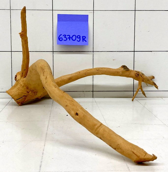 63709R Fingerwood / Rote Moorwurzel Holz