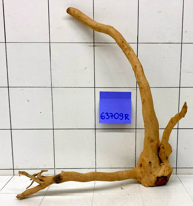 63709R Fingerwood / Rote Moorwurzel Holz