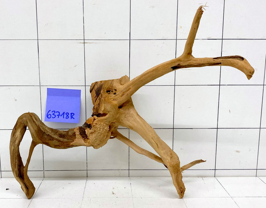 63718R Fingerwood / Rote Moorwurzel Holz