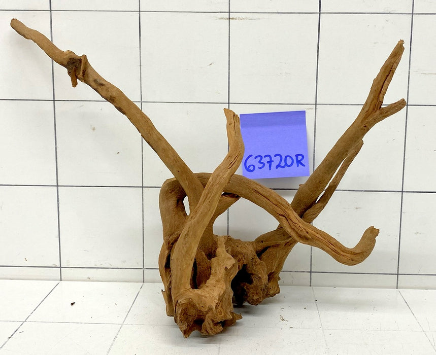 63720R Fingerwood / Rote Moorwurzel Holz