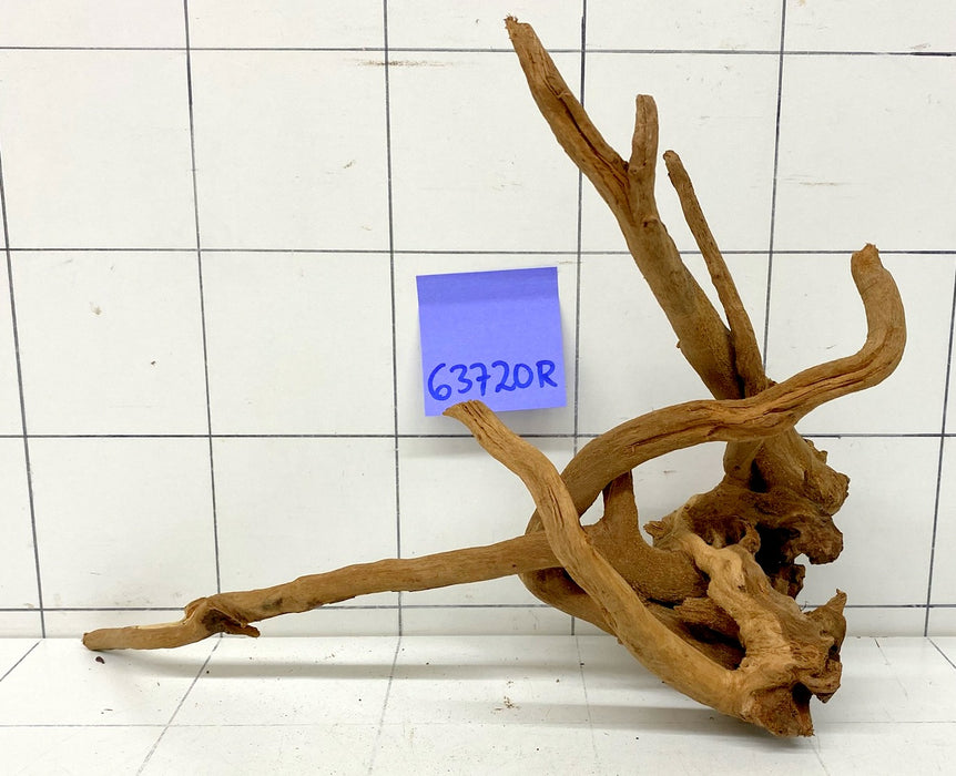 63720R Fingerwood / Rote Moorwurzel Holz