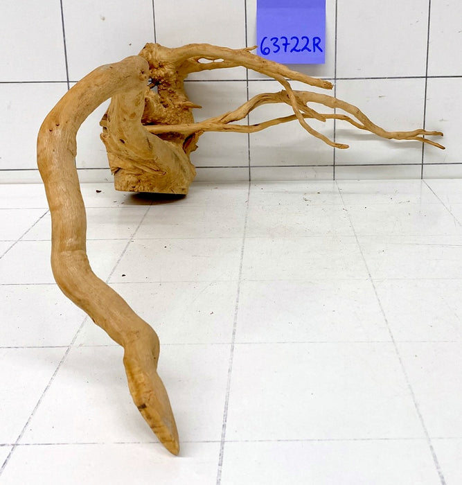 63722R Fingerwood / Rote Moorwurzel Holz
