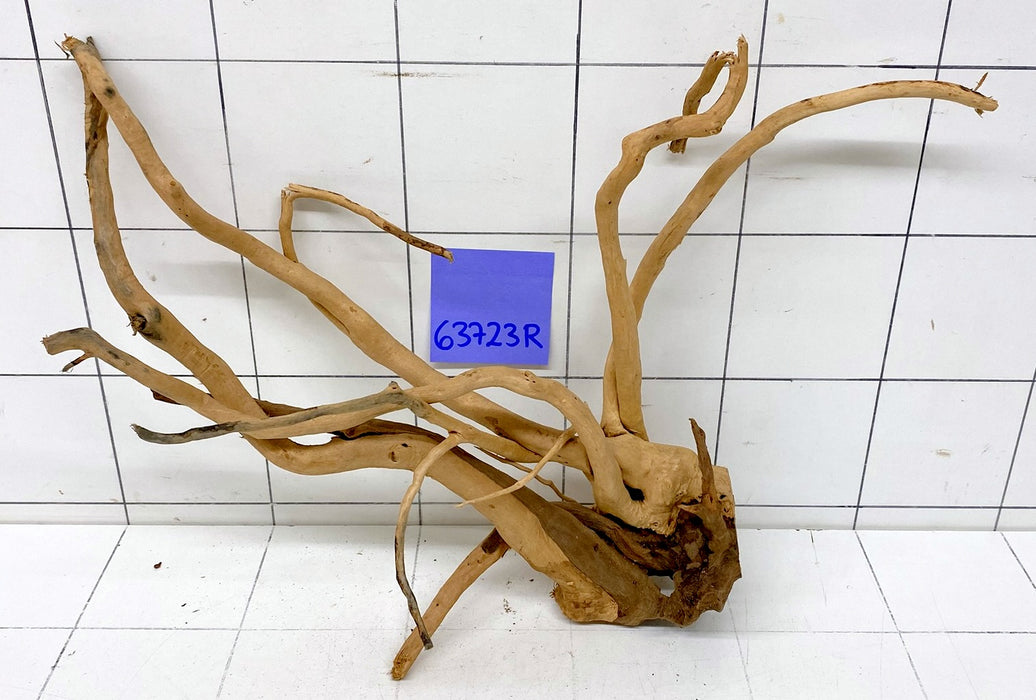 63723R Fingerwood / Rote Moorwurzel Holz