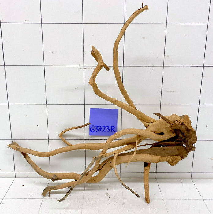 63723R Fingerwood / Rote Moorwurzel Holz