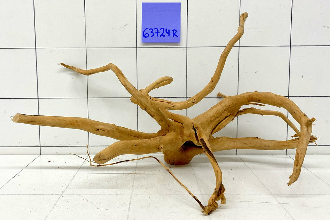 63724R Fingerwood / Rote Moorwurzel Holz