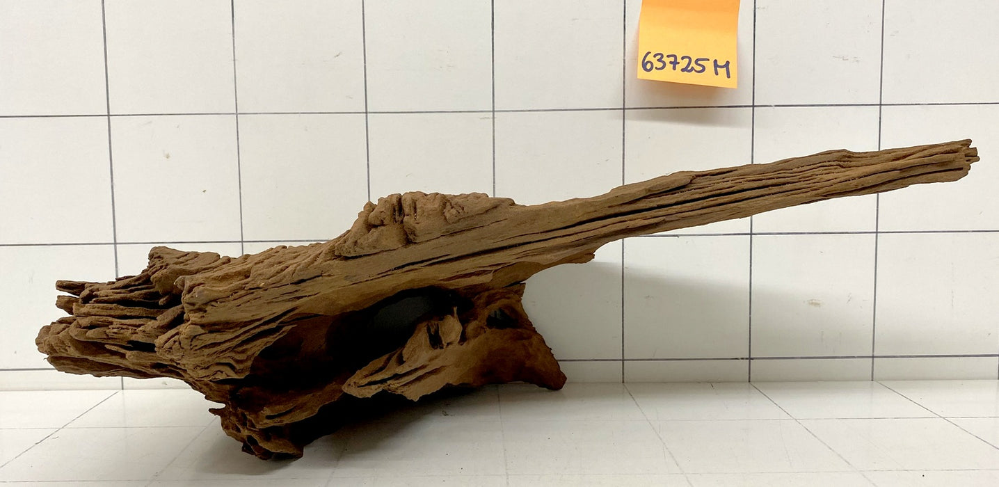 63725M - Mangrovenwurzel Holz