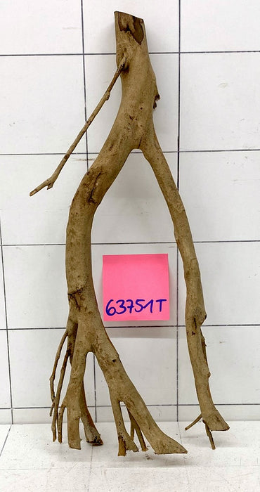 63751T Talawa Wurzel Holz