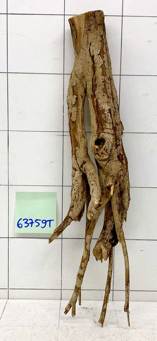 63759T Talawa Wurzel Holz