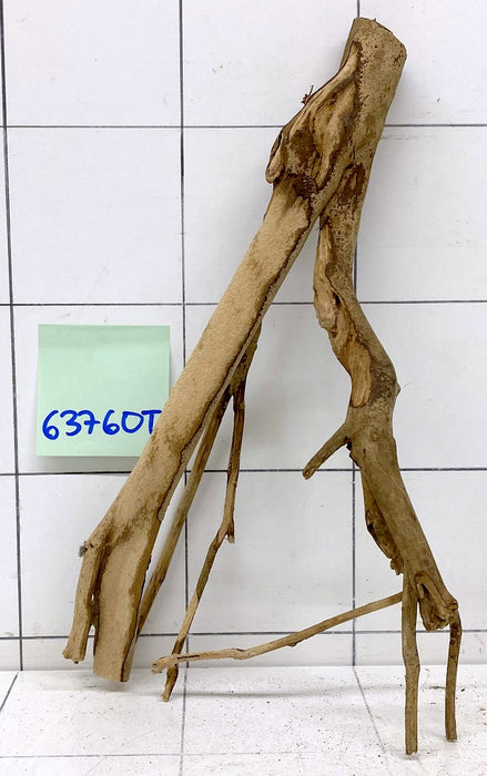 63760T Talawa Wurzel Holz