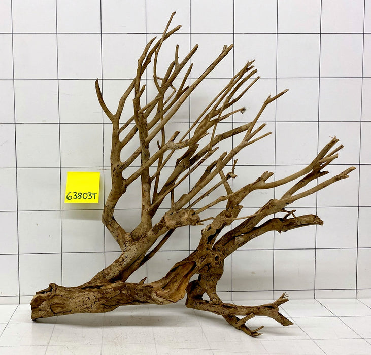 63803T Talawa Wurzel Holz
