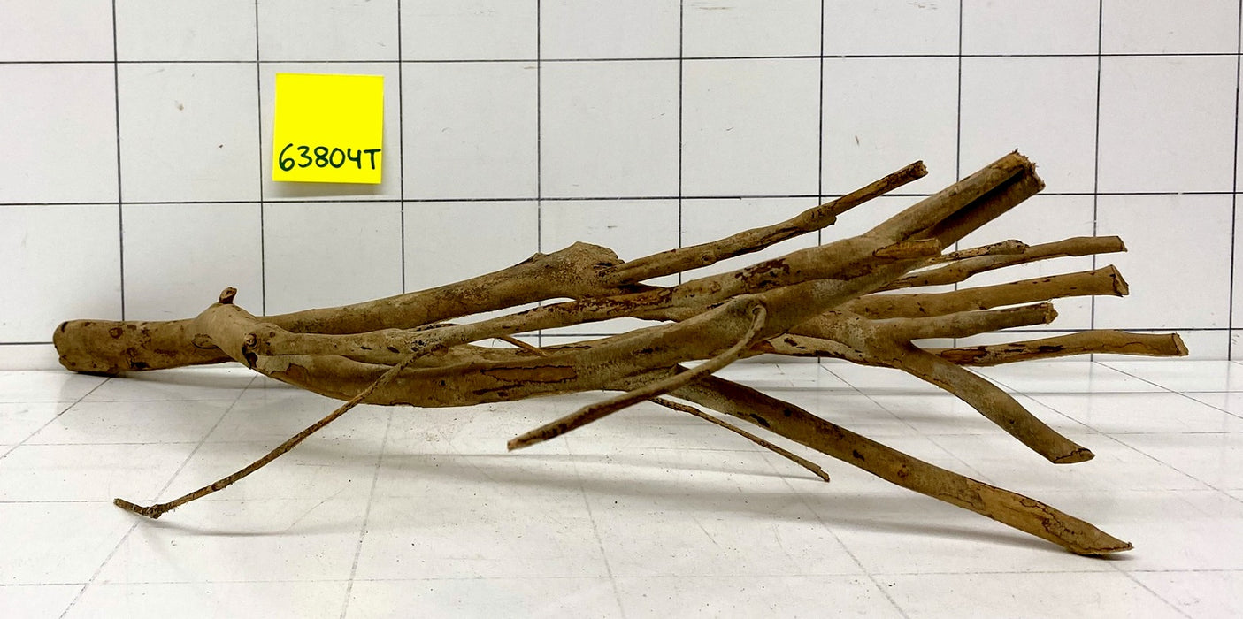 63804T Talawa Wurzel Holz