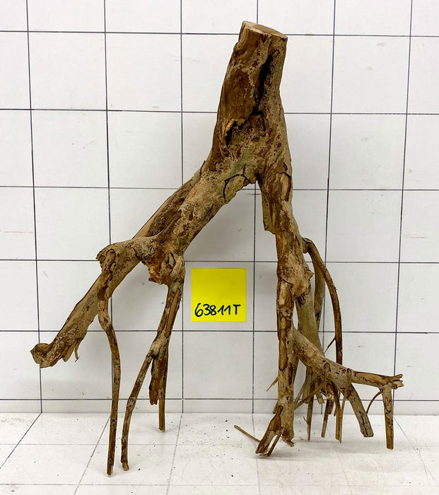 63811T Talawa Wurzel Holz