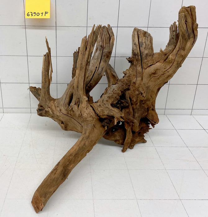 63901F Flussholz / Driftwood / Flusswurzel