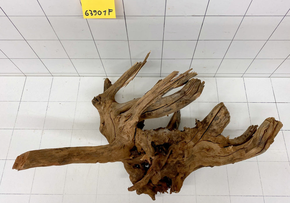 63901F Flussholz / Driftwood / Flusswurzel