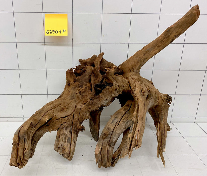 63901F Flussholz / Driftwood / Flusswurzel