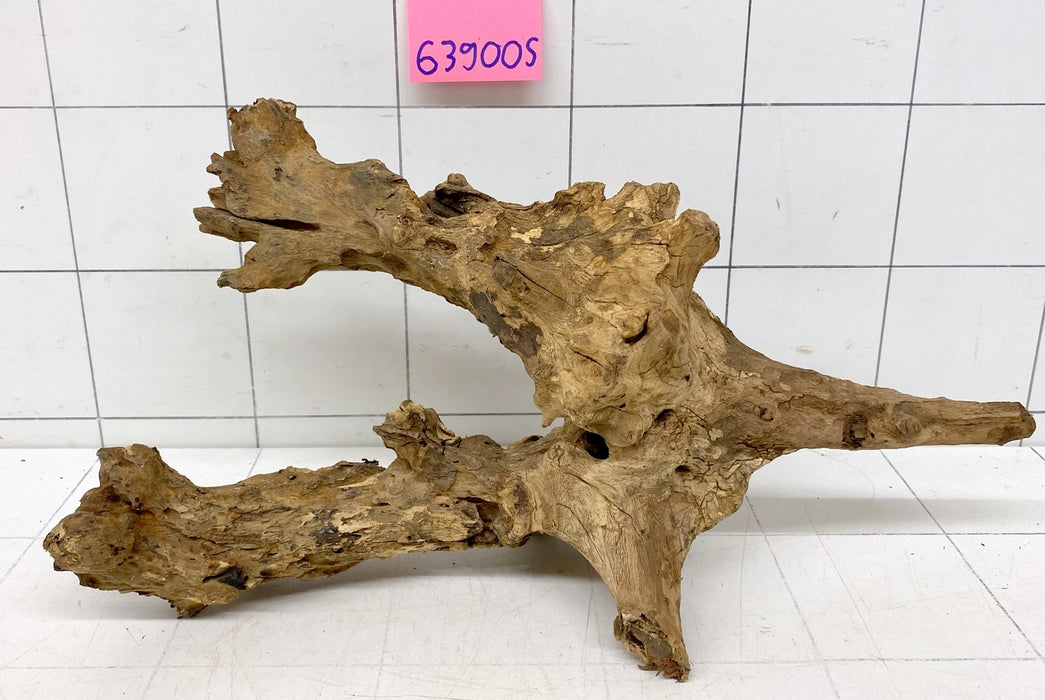 63900S Samoa Wurzel Holz