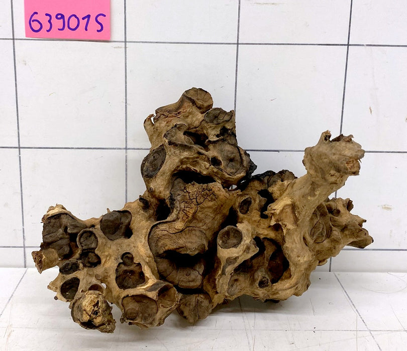 63901S Samoa Wurzel Holz