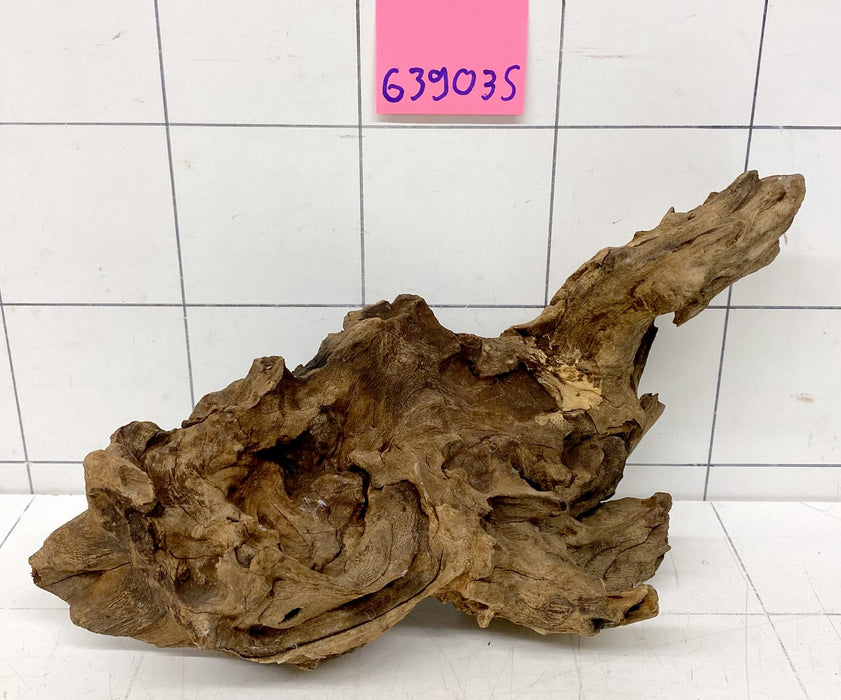 63903S Samoa Wurzel Holz