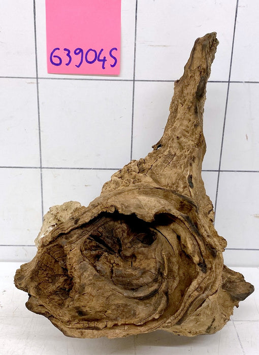 63904S Samoa Wurzel Holz