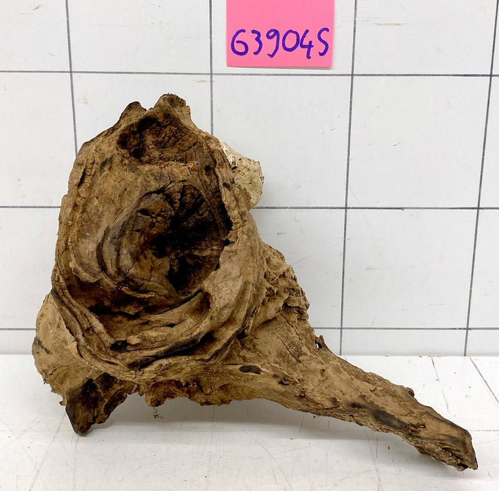 63904S Samoa Wurzel Holz