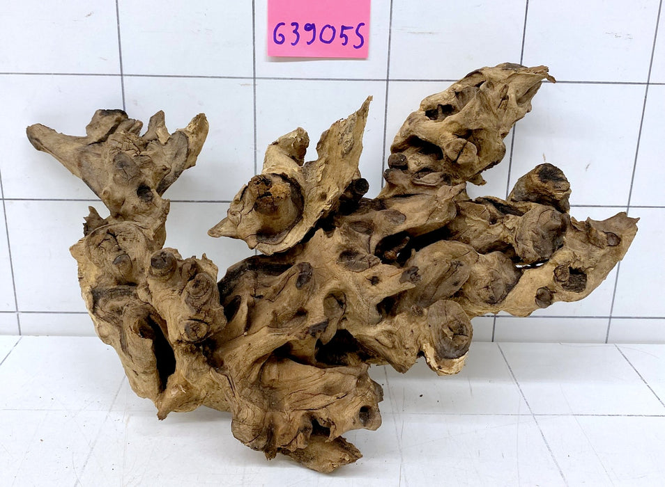 63905S Samoa Wurzel Holz