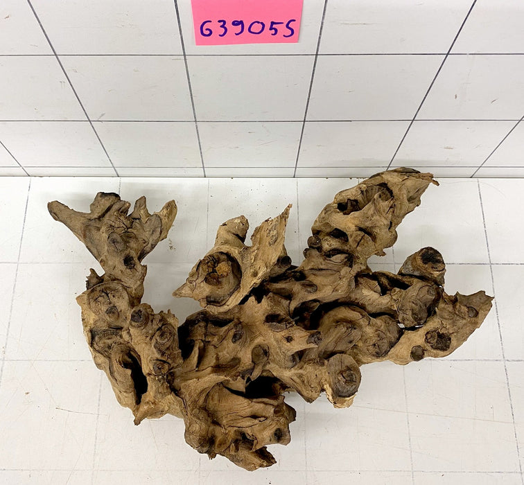 63905S Samoa Wurzel Holz