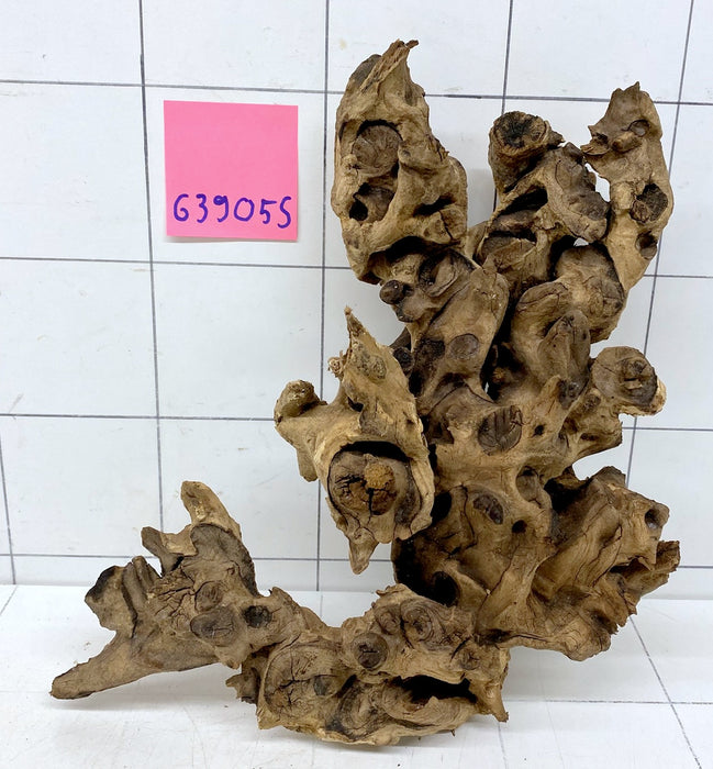 63905S Samoa Wurzel Holz