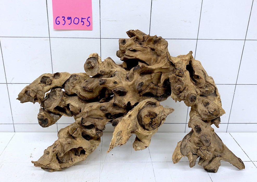63905S Samoa Wurzel Holz