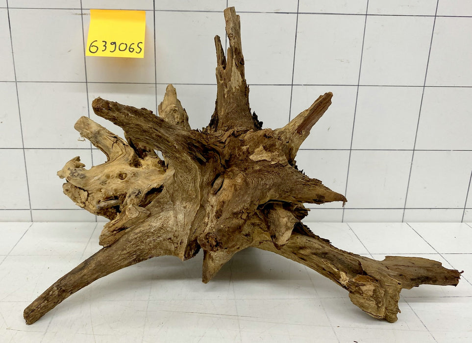 63906S Samoa Wurzel Holz