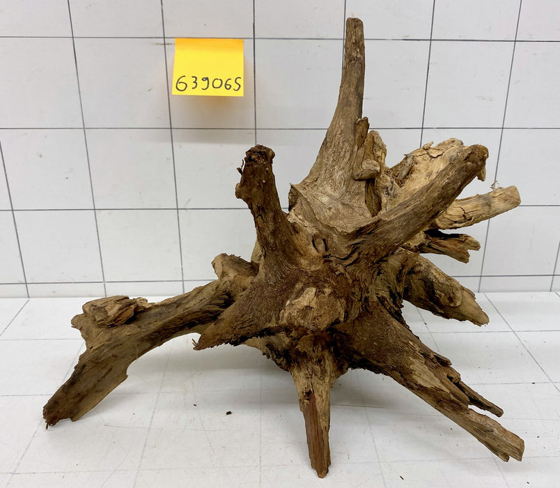63906S Samoa Wurzel Holz