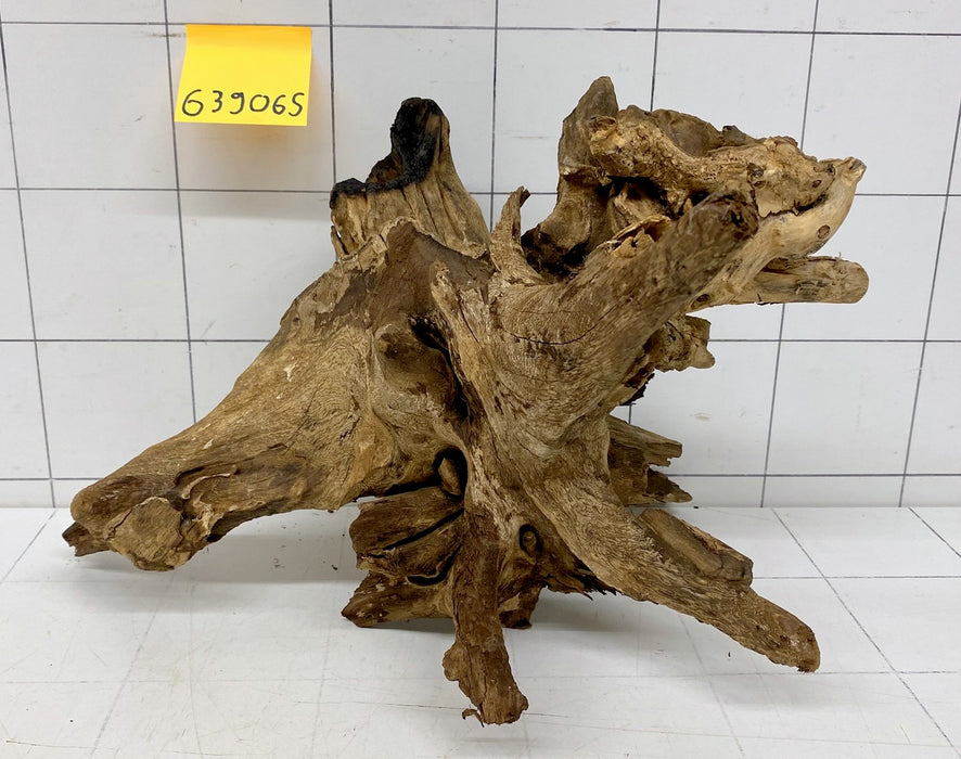 63906S Samoa Wurzel Holz