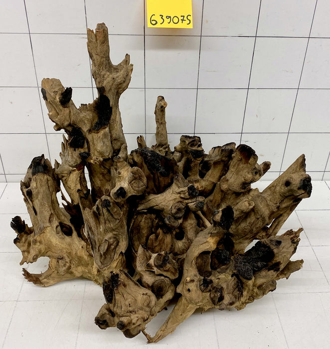 63907S Samoa Wurzel Holz