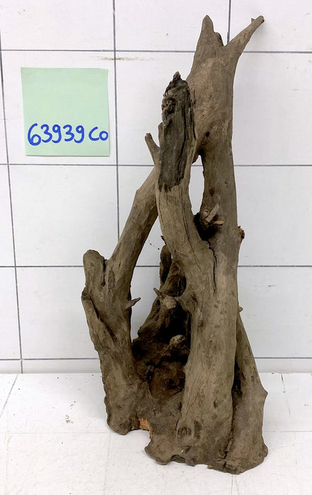 63939CO - Corbo Wurzel Holz