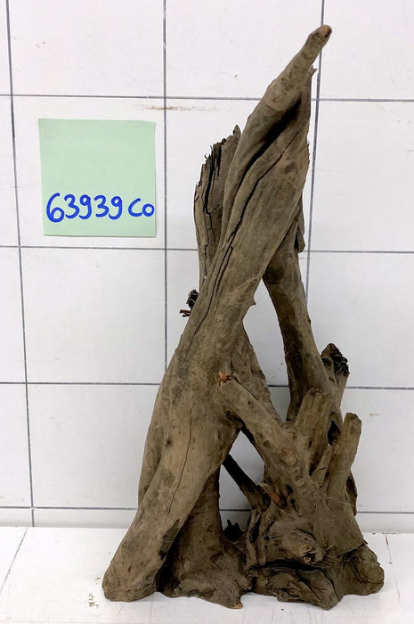 63939CO - Corbo Wurzel Holz