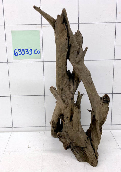 63939CO - Corbo Wurzel Holz