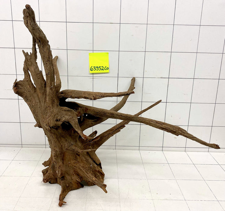 63952CO - Corbo Wurzel Holz