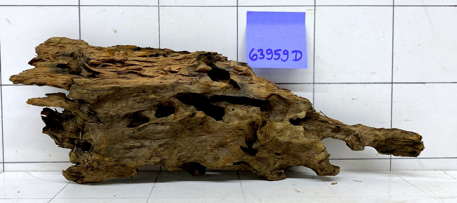 63959D - Drachenholz / Dragonwood