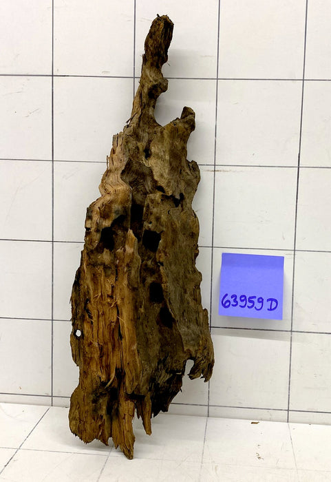 63959D - Drachenholz / Dragonwood