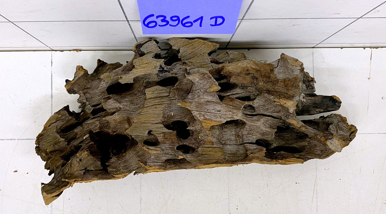 63961D - Drachenholz / Dragonwood