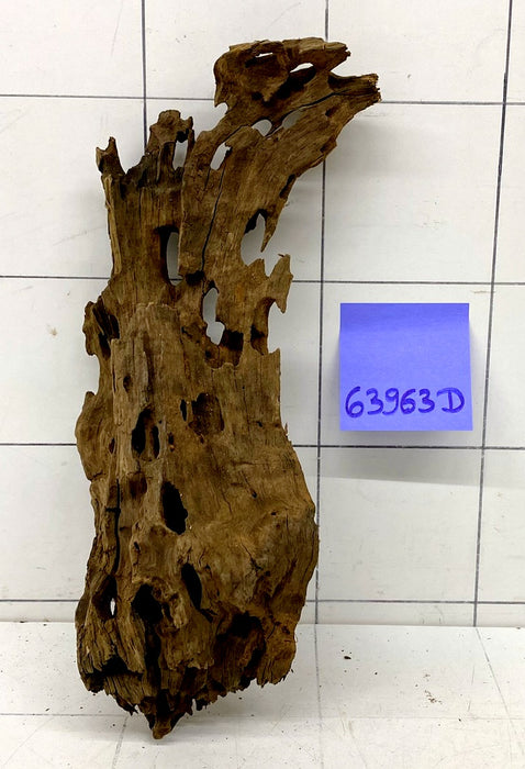 63963D - Drachenholz / Dragonwood