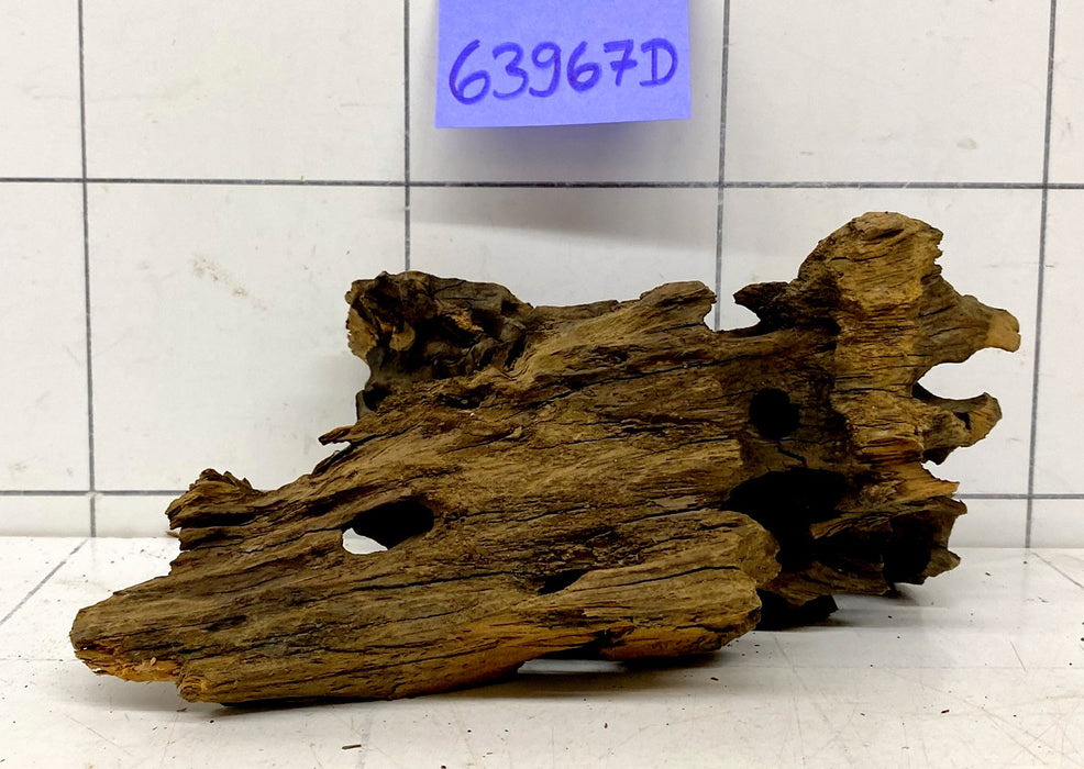 63967D - Drachenholz / Dragonwood