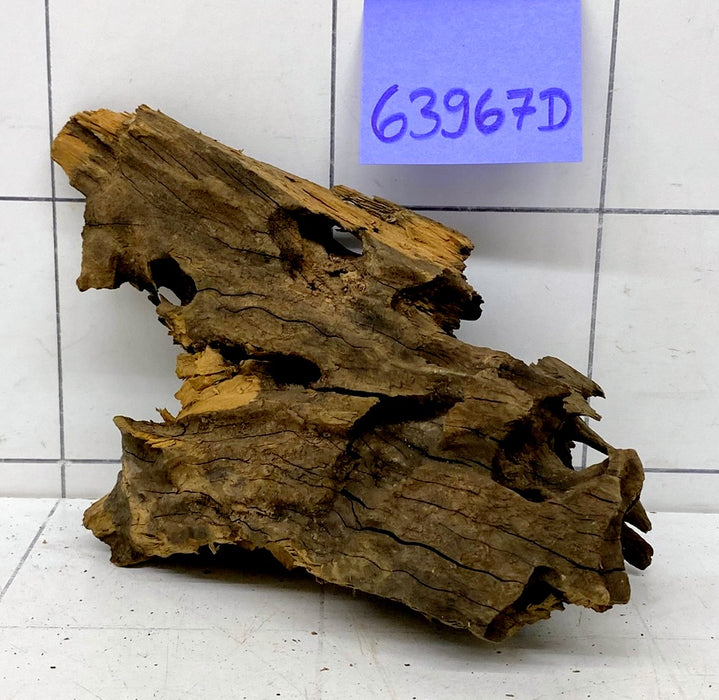 63967D - Drachenholz / Dragonwood