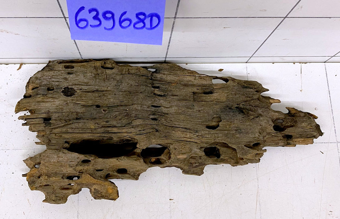 63968D - Drachenholz / Dragonwood