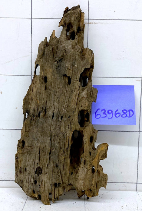 63968D - Drachenholz / Dragonwood