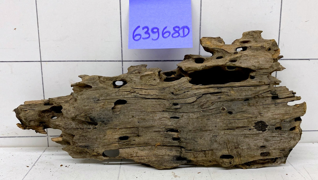 63968D - Drachenholz / Dragonwood