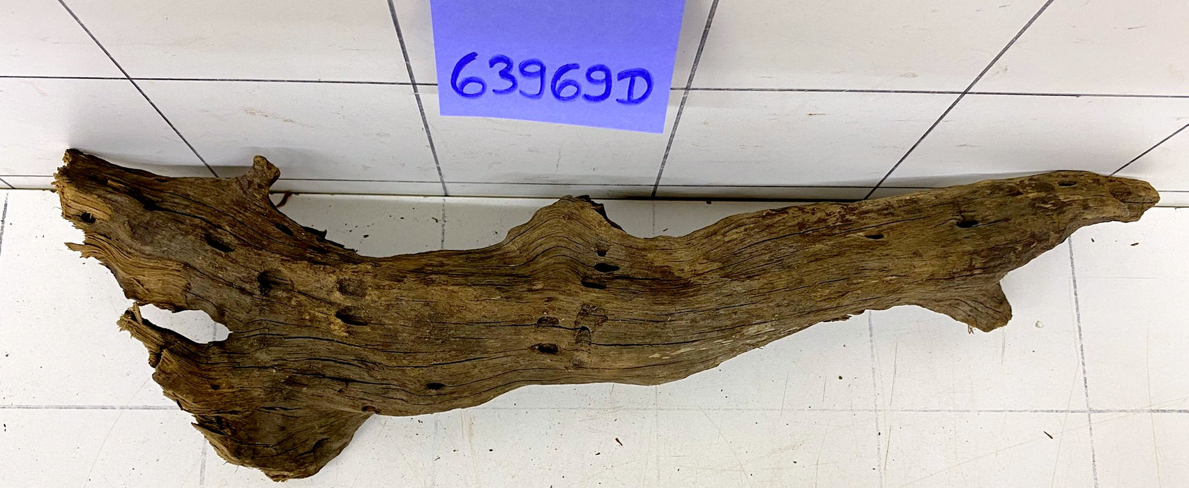 63969D - Drachenholz / Dragonwood