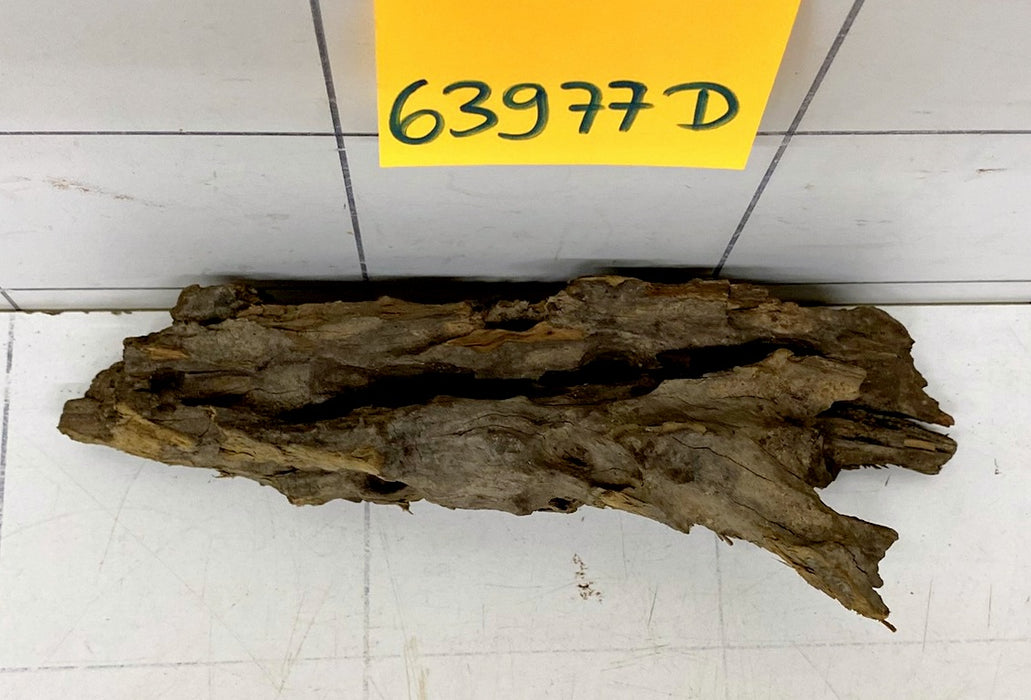 63977D - Drachenholz / Dragonwood