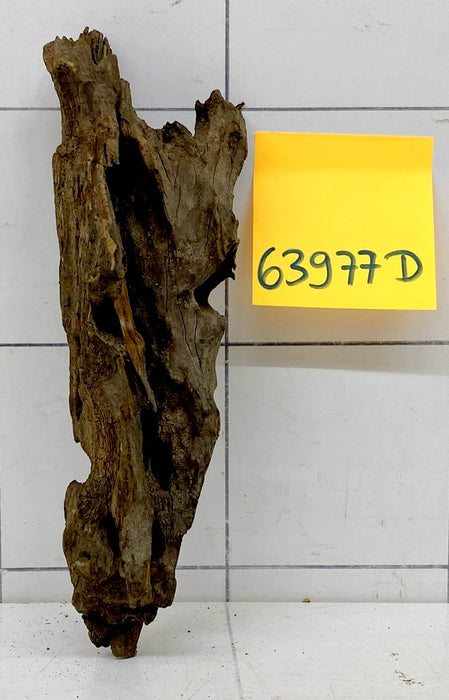 63977D - Drachenholz / Dragonwood