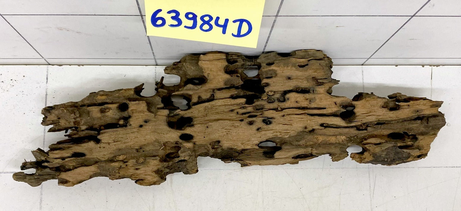 63984D - Drachenholz / Dragonwood